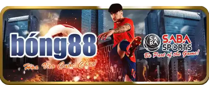 Hoàn trả cực cao DH88